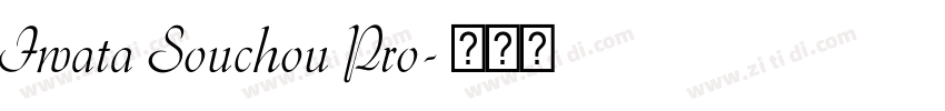 Iwata Souchou Pro字体转换